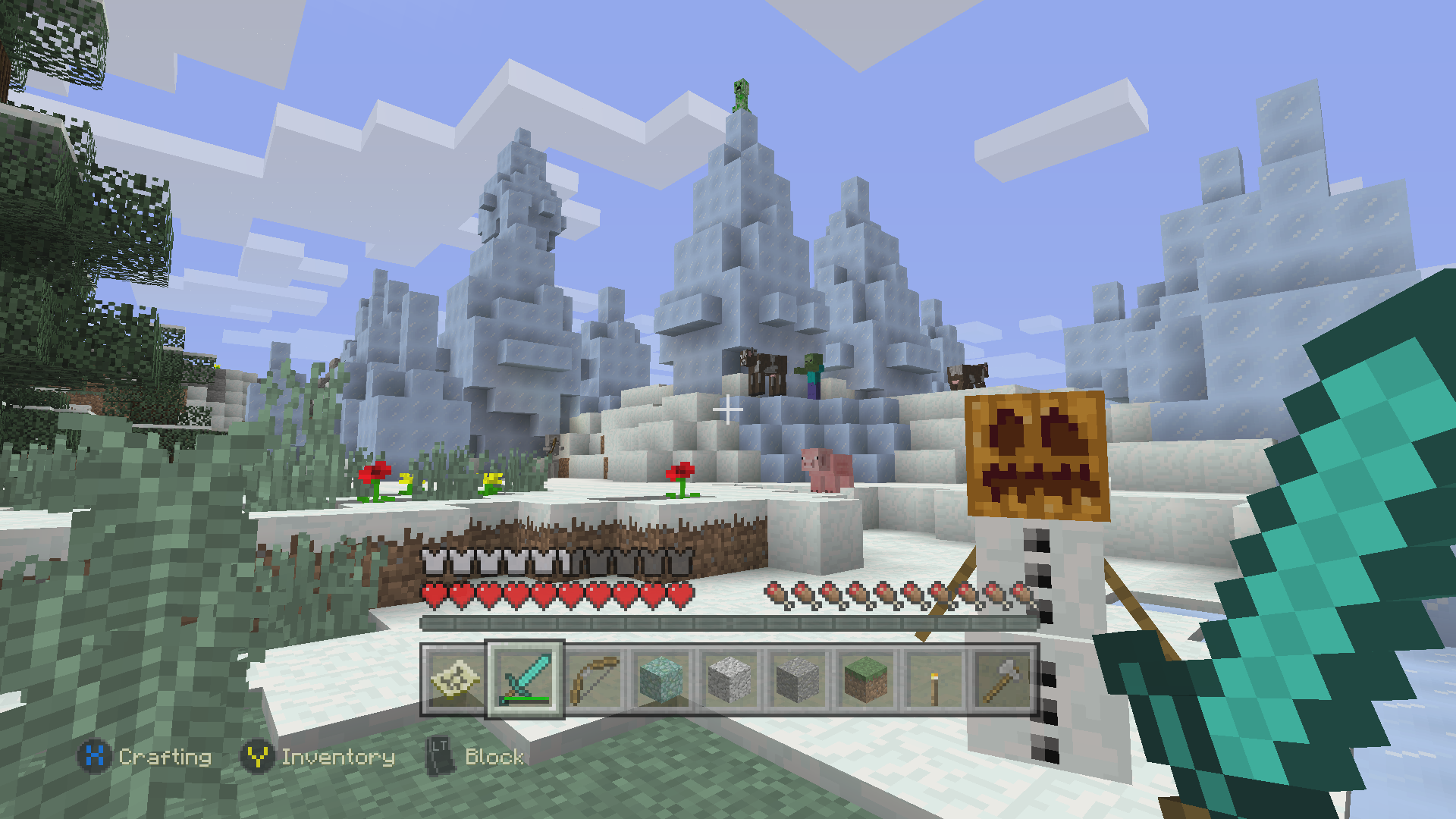 Minecraft_1.8.8_Biome_IceSpike_2.png